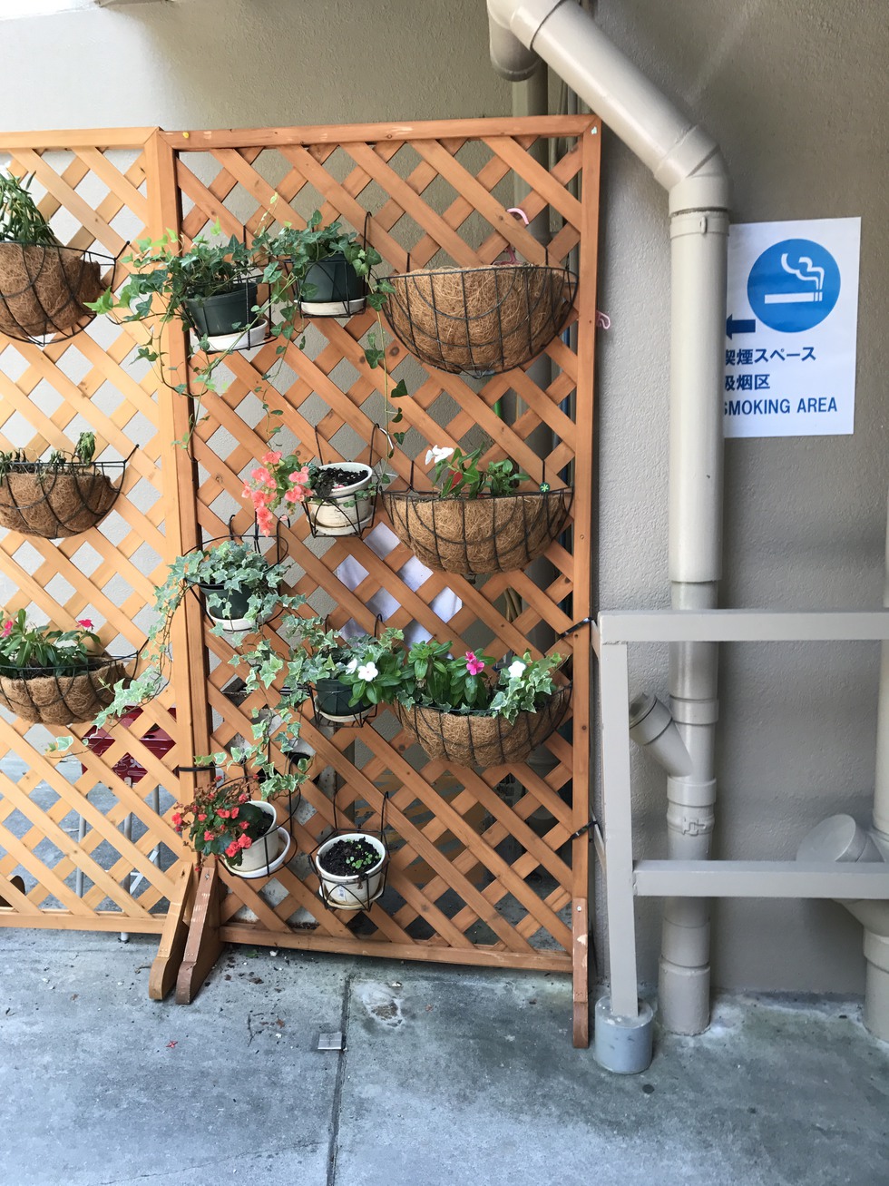 沖縄ウィークリーハーバービューマンション 本館【本館】ツインC　セパレート　シングルベッド2台　禁煙
