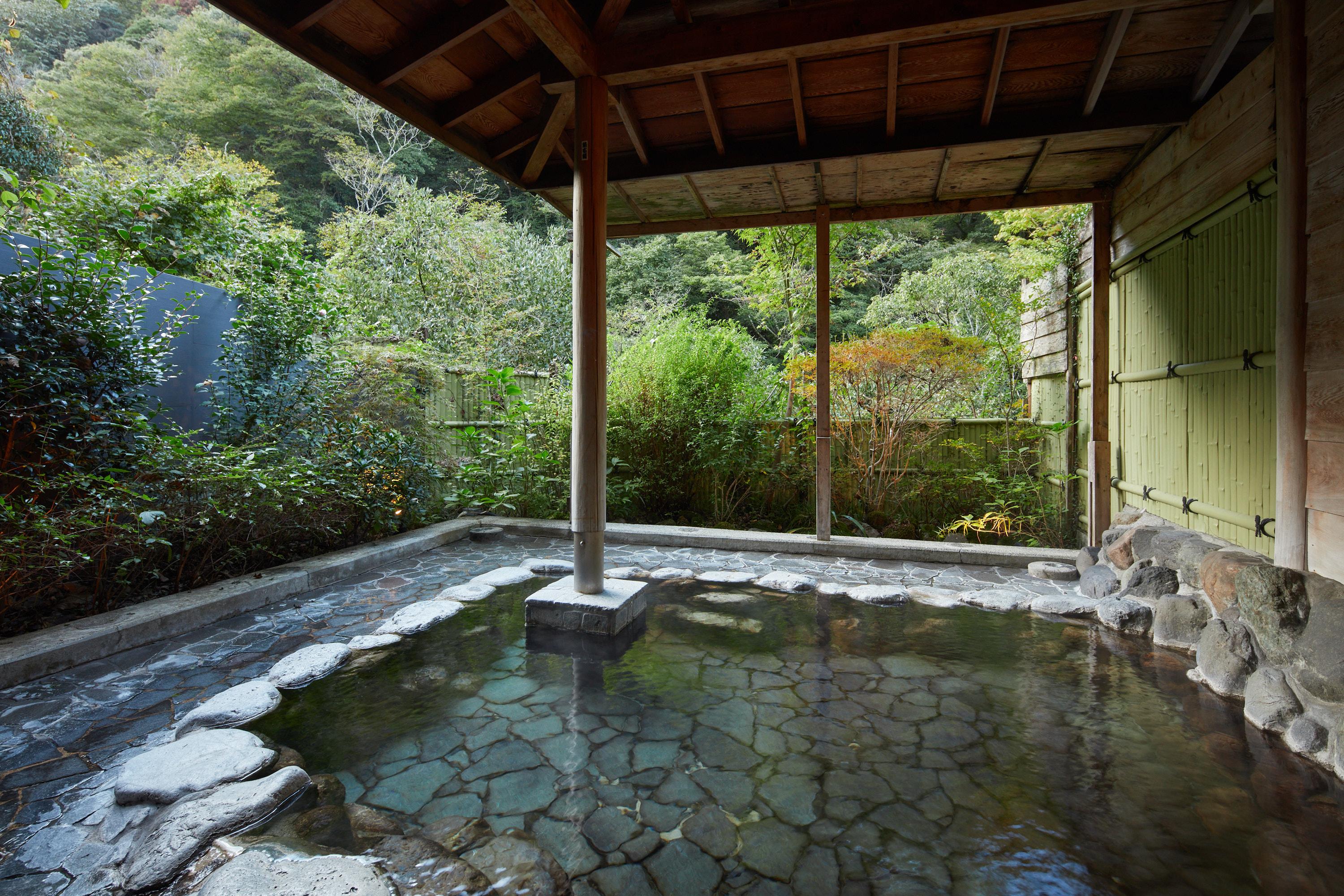 Onsen Guesthouse Tsutaya - HostelSemi-double Standard River view Non-Smoking