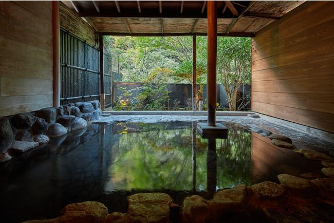 Onsen Guesthouse Tsutaya - HostelSemi-double Superior River view Non-Smoking